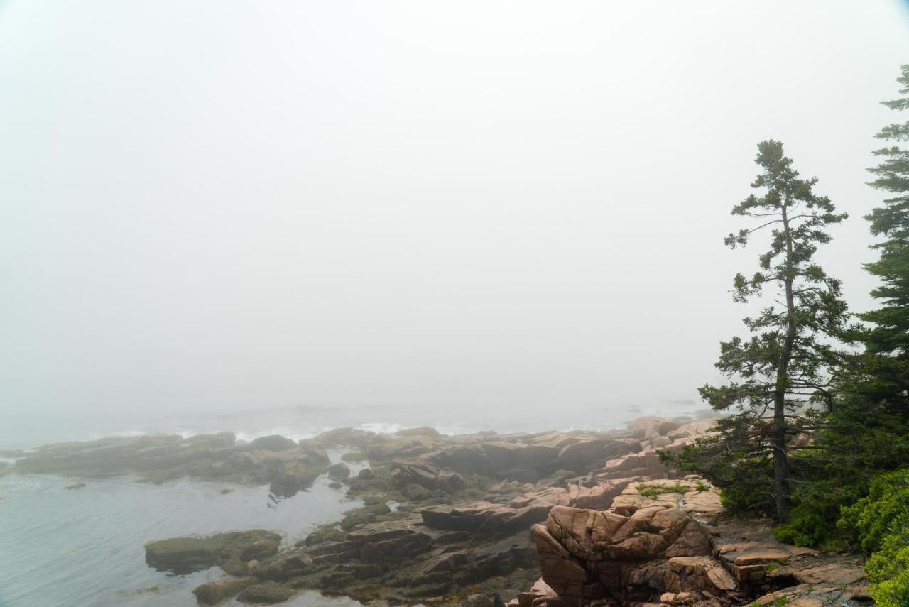 Under Canvas Acadia Surry Eksteriør billede