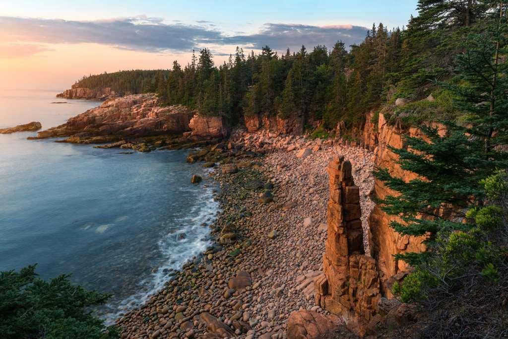 Under Canvas Acadia Surry Natur billede