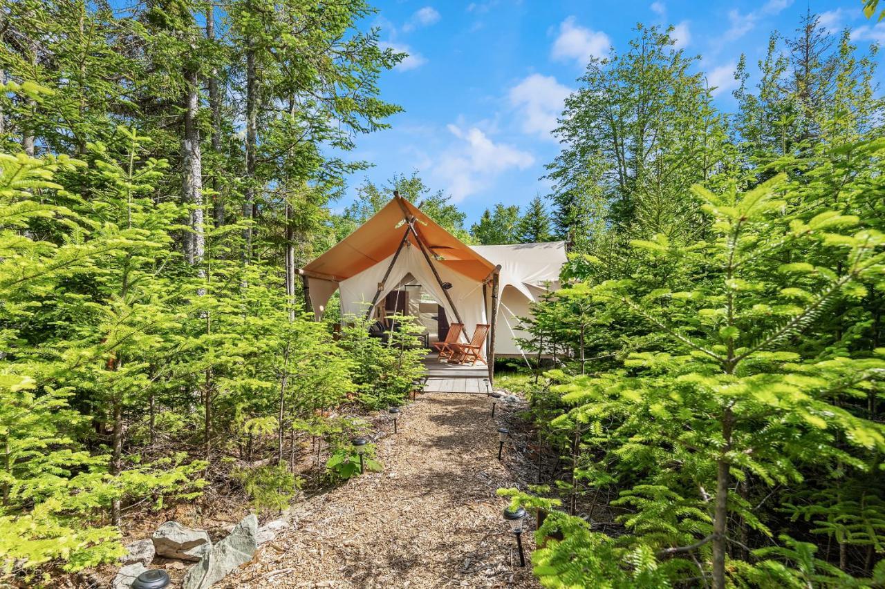 Under Canvas Acadia Surry Eksteriør billede